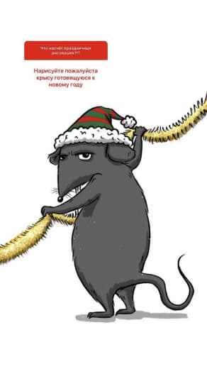 raccoon 31.12.2019