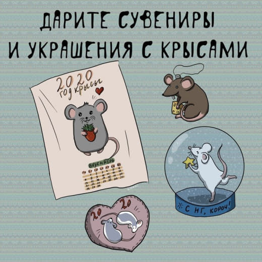 raccoon 31.12.2019