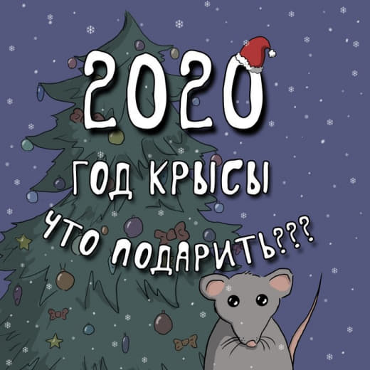 raccoon 31.12.2019