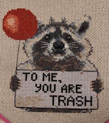 raccoon 26.12.2019