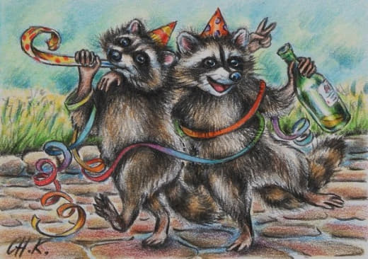 raccoon 20.12.2019
