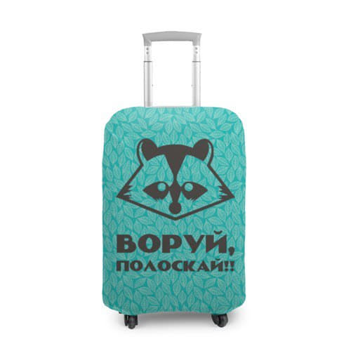 raccoon 17.12.2019