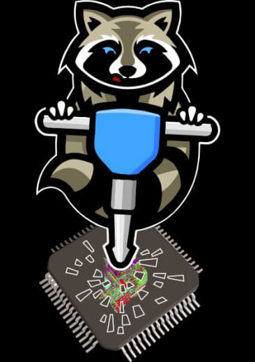 raccoon 17.12.2019