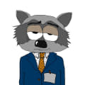 raccoon 04.12.2019